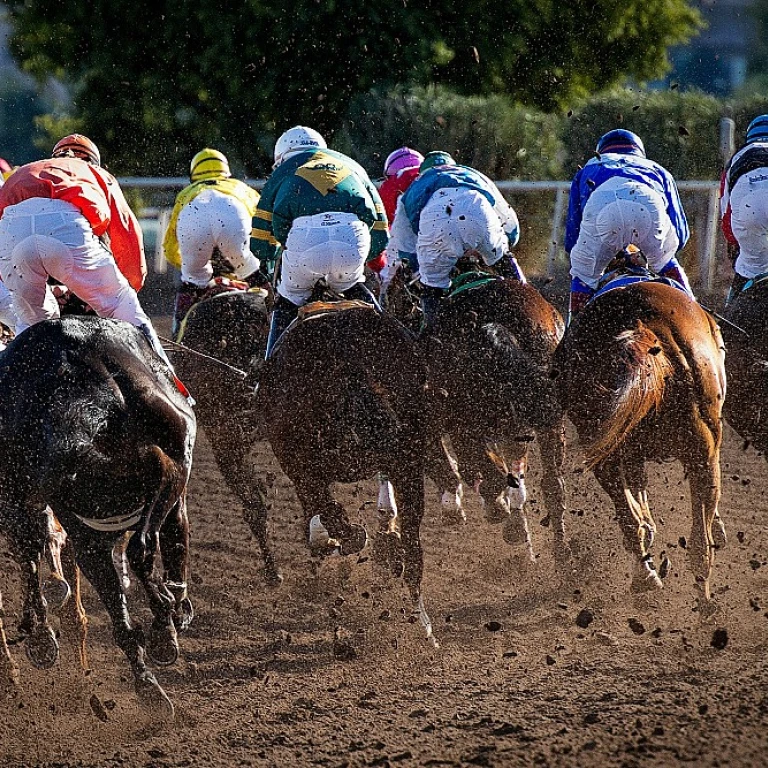 Les opportunités professionnelles dans les courses hippiques