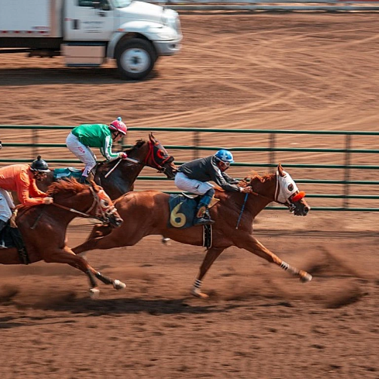 Améliorer les performances des chevaux de course