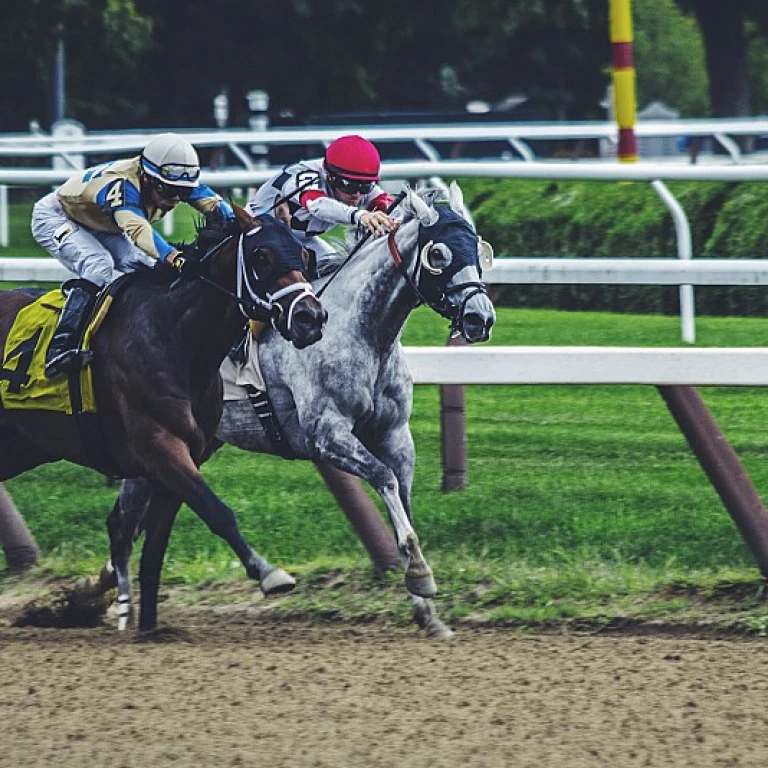 Explorer les opportunités de carrière dans l'hippisme