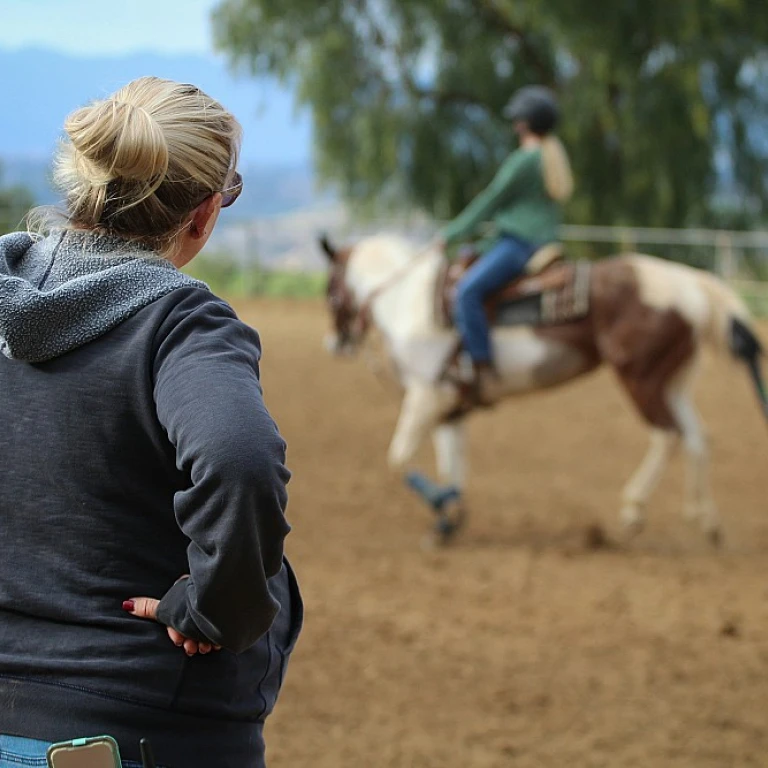 Emplois et opportunités dans l'univers des courses hippiques